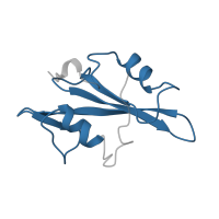 The deposited structure of PDB entry 1hcs contains 1 copy of Pfam domain PF00017 (SH2 domain) in Proto-oncogene tyrosine-protein kinase Src. Showing 1 copy in chain B.