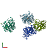 PDB entry 1hcu coloured by chain, front view.