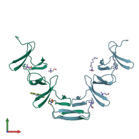 PDB entry 1hcx coloured by chain, front view.