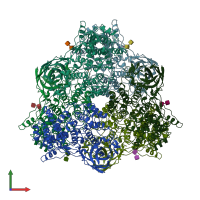 PDB entry 1hcy coloured by chain, front view.