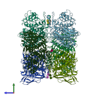 PDB entry 1hcy coloured by chain, side view.