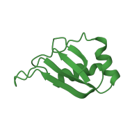 The deposited structure of PDB entry 1hd1 contains 1 copy of SCOP domain 54929 (Canonical RBD) in Heterogeneous nuclear ribonucleoprotein D0. Showing 1 copy in chain A.