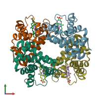 PDB entry 1hda coloured by chain, front view.