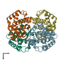 PDB entry 1hda coloured by chain, top view.