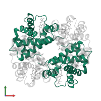 Hemoglobin subunit alpha in PDB entry 1hdb, assembly 1, front view.