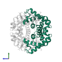 Hemoglobin subunit alpha in PDB entry 1hdb, assembly 1, side view.