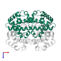 Hemoglobin subunit alpha in PDB entry 1hdb, assembly 1, top view.