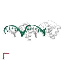 DNA (5'-D(*TP*TP*TP*TP*GP*CP*CP*AP*TP*GP*TP*AP*AP*TP*TP*AP*C P*CP*TP*AP*A)-3') in PDB entry 1hdd, assembly 1, top view.