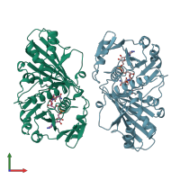 PDB entry 1hdg coloured by chain, front view.