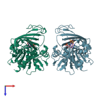 PDB entry 1hdg coloured by chain, top view.