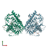 PDB entry 1hdh coloured by chain, front view.