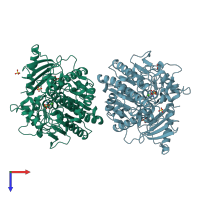PDB entry 1hdh coloured by chain, top view.