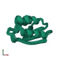 PDB entry 1hdn coloured by chain, ensemble of 30 models, front view.