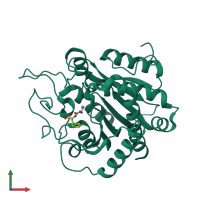PDB entry 1hdq coloured by chain, front view.