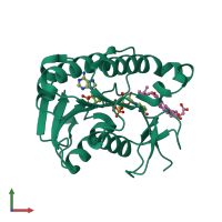 PDB entry 1he2 coloured by chain, front view.