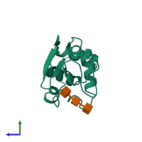 Monomeric assembly 1 of PDB entry 1hew coloured by chemically distinct molecules, side view.