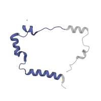 The deposited structure of PDB entry 1hfe contains 2 copies of Pfam domain PF02256 (Iron hydrogenase small subunit) in Periplasmic [Fe] hydrogenase small subunit. Showing 1 copy in chain A [auth S].