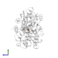 CARBON MONOXIDE in PDB entry 1hfe, assembly 1, side view.