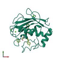 PDB entry 1hfs coloured by chain, front view.