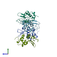 PDB entry 1hfz coloured by chain, side view.