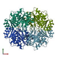 PDB entry 1hg1 coloured by chain, front view.