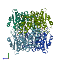 PDB entry 1hg1 coloured by chain, side view.