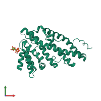 PDB entry 1hg2 coloured by chain, front view.