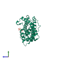 PDB entry 1hg2 coloured by chain, side view.