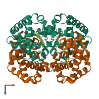 Hetero tetrameric assembly 1 of PDB entry 1hga coloured by chemically distinct molecules, top view.