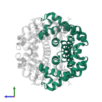 Hemoglobin subunit alpha in PDB entry 1hga, assembly 1, side view.