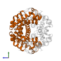 Hemoglobin subunit beta in PDB entry 1hga, assembly 1, side view.