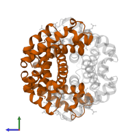 Hemoglobin subunit beta in PDB entry 1hgb, assembly 1, side view.