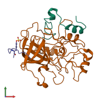 PDB entry 1hgt coloured by chain, front view.