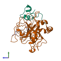 PDB entry 1hgt coloured by chain, side view.