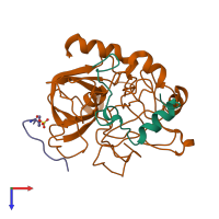 PDB entry 1hgt coloured by chain, top view.