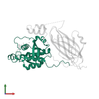 Ras-related C3 botulinum toxin substrate 1 in PDB entry 1hh4, assembly 1, front view.