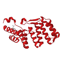 The deposited structure of PDB entry 1hh8 contains 1 copy of CATH domain 1.25.40.10 (Serine Threonine Protein Phosphatase 5, Tetratricopeptide repeat) in Neutrophil cytosol factor 2. Showing 1 copy in chain A.