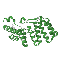 The deposited structure of PDB entry 1hh8 contains 1 copy of SCOP domain 48453 (Tetratricopeptide repeat (TPR)) in Neutrophil cytosol factor 2. Showing 1 copy in chain A.