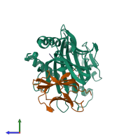 Hetero trimeric assembly 1 of PDB entry 1hhk coloured by chemically distinct molecules, side view.