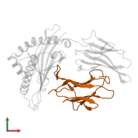Beta-2-microglobulin in PDB entry 1hhk, assembly 1, front view.