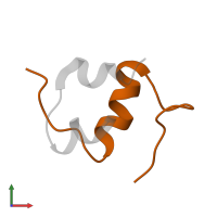 Insulin B chain in PDB entry 1hiq, assembly 1, front view.