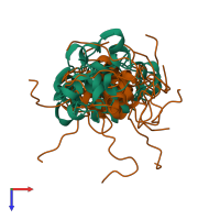 PDB entry 1hit coloured by chain, ensemble of 9 models, top view.