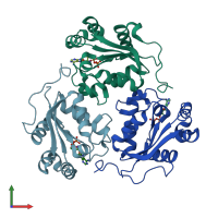 PDB entry 1hiy coloured by chain, front view.