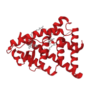 The deposited structure of PDB entry 1hj1 contains 1 copy of CATH domain 1.10.565.10 (Retinoid X Receptor) in Estrogen receptor beta. Showing 1 copy in chain A.