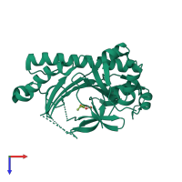 PDB entry 1hjg coloured by chain, top view.