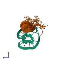 PDB entry 1hji coloured by chain, ensemble of 20 models, side view.