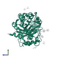 Chitinase-3-like protein 1 in PDB entry 1hjw, assembly 1, side view.