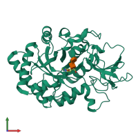 PDB entry 1hkj coloured by chain, front view.