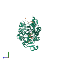 PDB entry 1hl3 coloured by chain, side view.