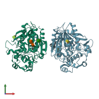 PDB entry 1hlg coloured by chain, front view.